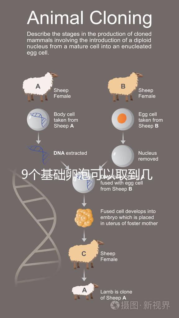 9個基礎卵泡可以取到幾個卵戳，促排后會不會增加很重要