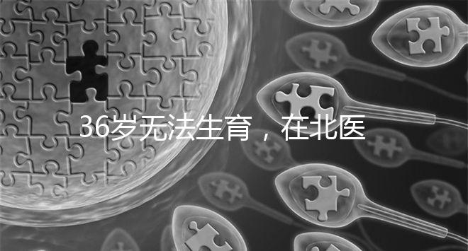 36歲無(wú)法生育，在北醫(yī)三院做人工授精成功率有多少？