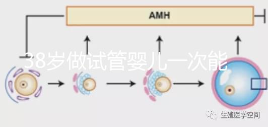 38歲做試管嬰兒一次能成功嗎？提前準備好這4點或許可以