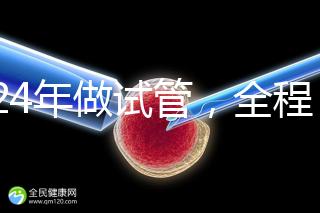 2024年做試管,全程下來要多少錢?