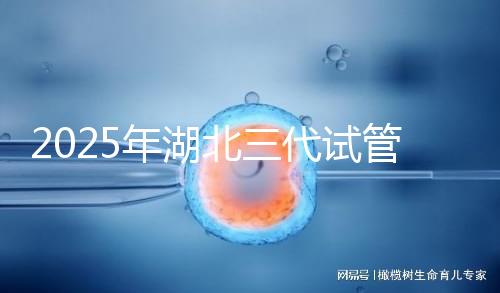 2025年湖北三代試管嬰兒費用明細一覽 附價格清單！