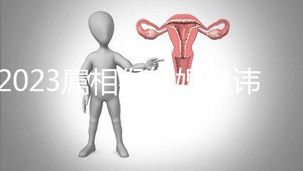 2023屬相猴結婚忌諱這三種屬相！屬豬的伴娘無需避開