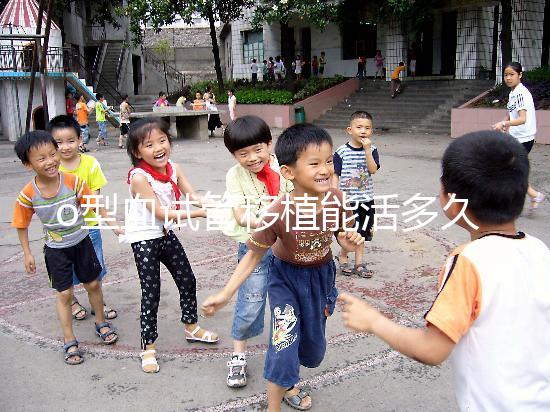 o型血試管移植能活多久？壽命長的關鍵在于這些點