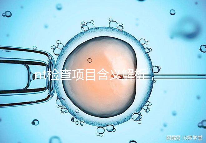 nt檢查項目含義解析，每個內容都相當重要